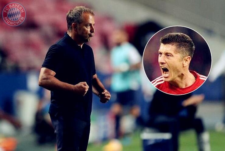 队和球星组 队和球星组