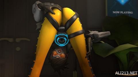 生涯中的众 生涯中的众